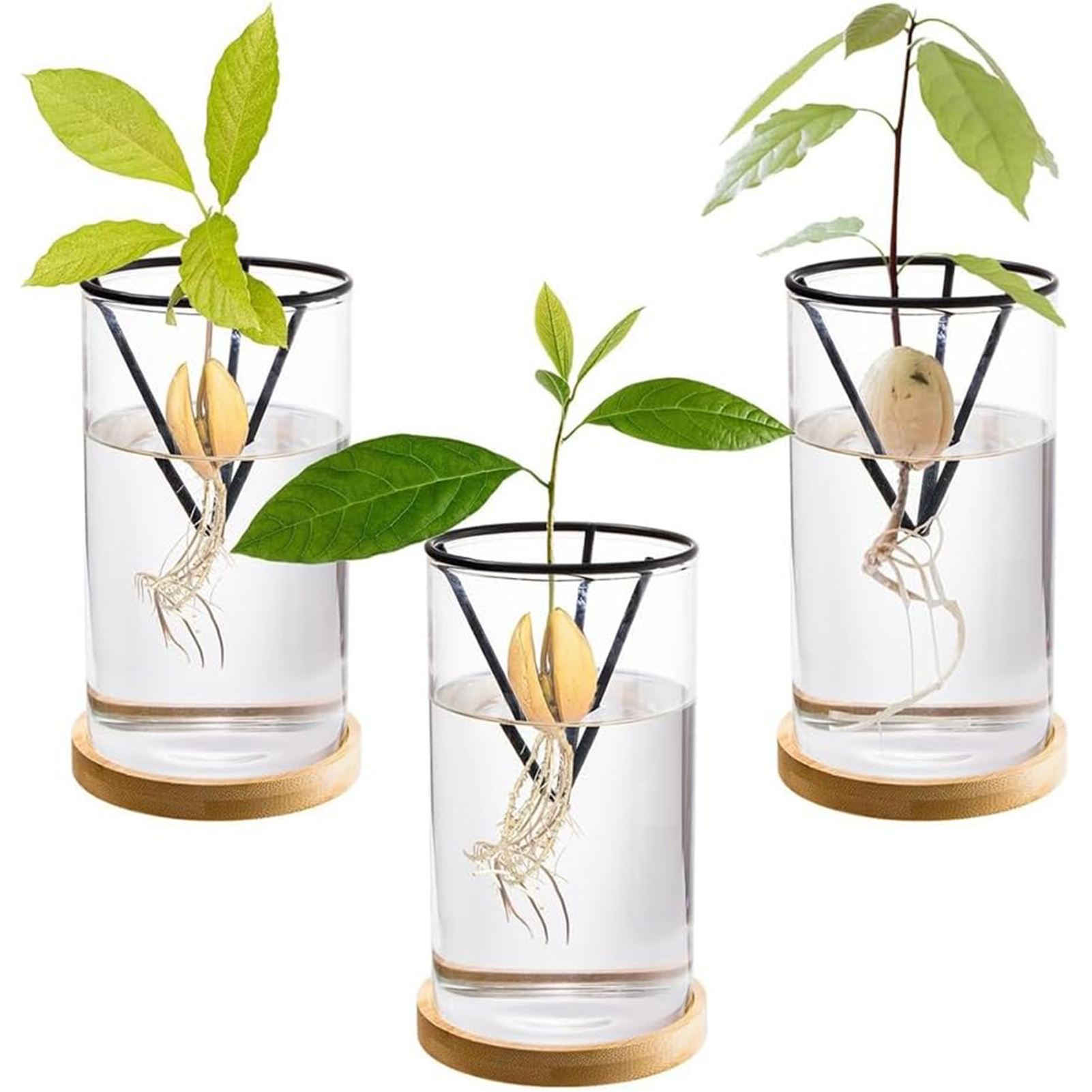 Crystal Growing Kit - 1 zestaw zestawów do uprawy drzewa