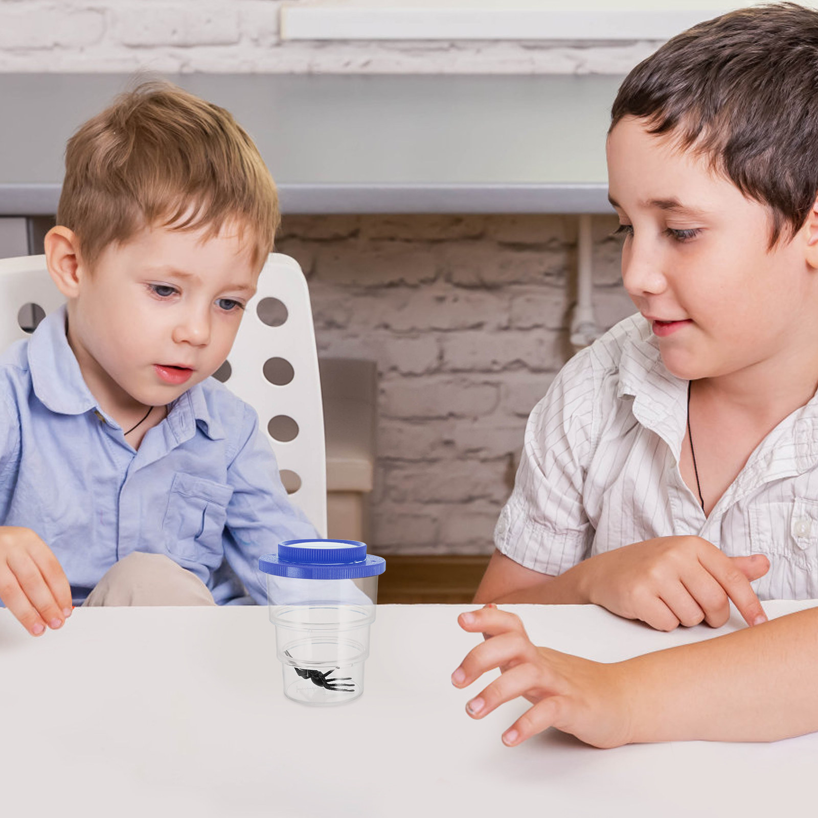 Science Toys - Trzyczęściowy zestaw do obserwacji owadów z