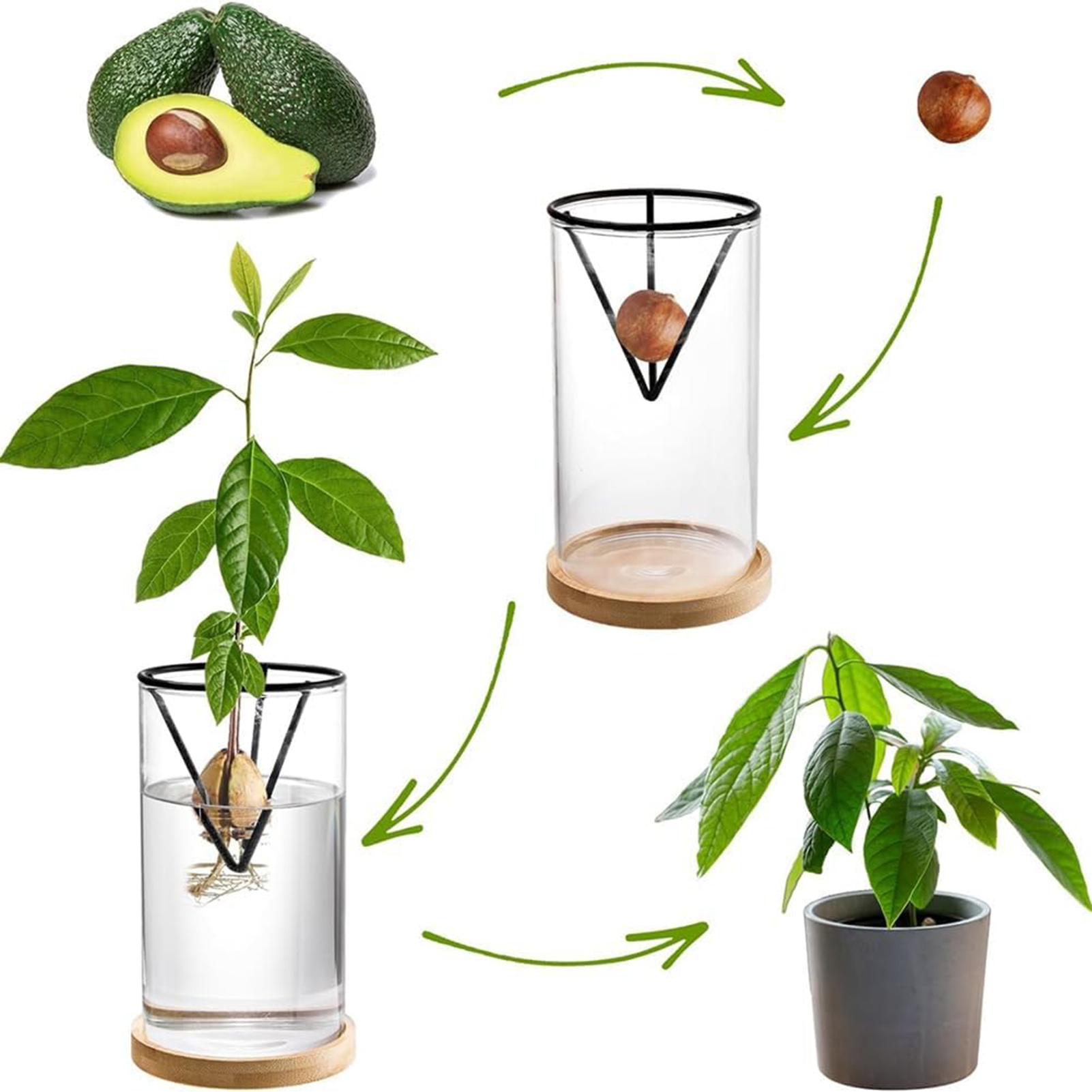 1 zestaw zestawów do uprawy dr – Crystal Growing Kit recenzja i cena